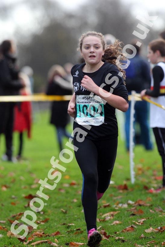 Green 1004, North East Harrier League, Blaydon.
